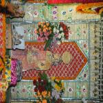 Vraj-Yatra-2014- (542)